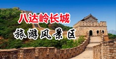 日操大毛屄洞这里有精品中国北京-八达岭长城旅游风景区