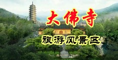 男人的鸡巴日迷人的逼的小说中国浙江-新昌大佛寺旅游风景区